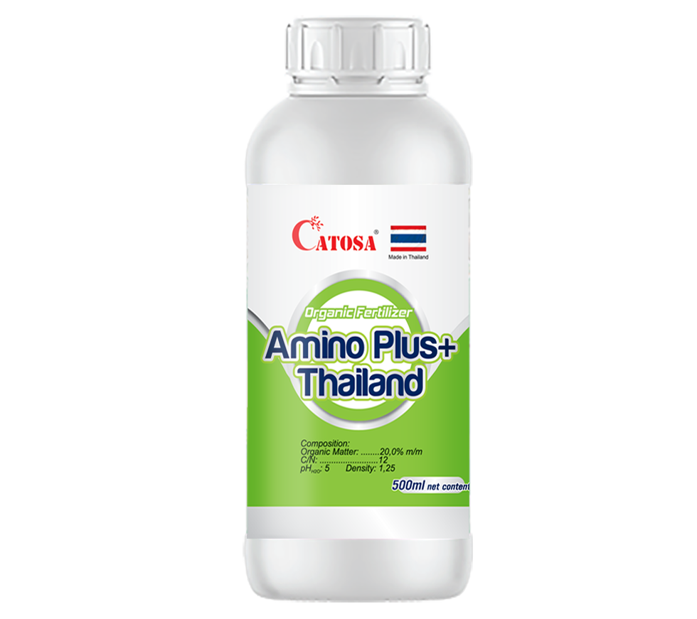 AMINO PLUS THAILAND 500ml- 1 LÍT