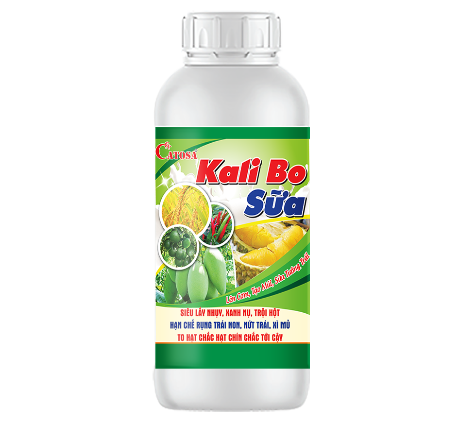 KALI BO SỮA 500ml-01