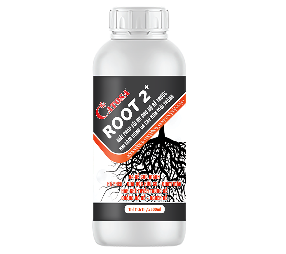 ROOT 2+ 500ML - 1L