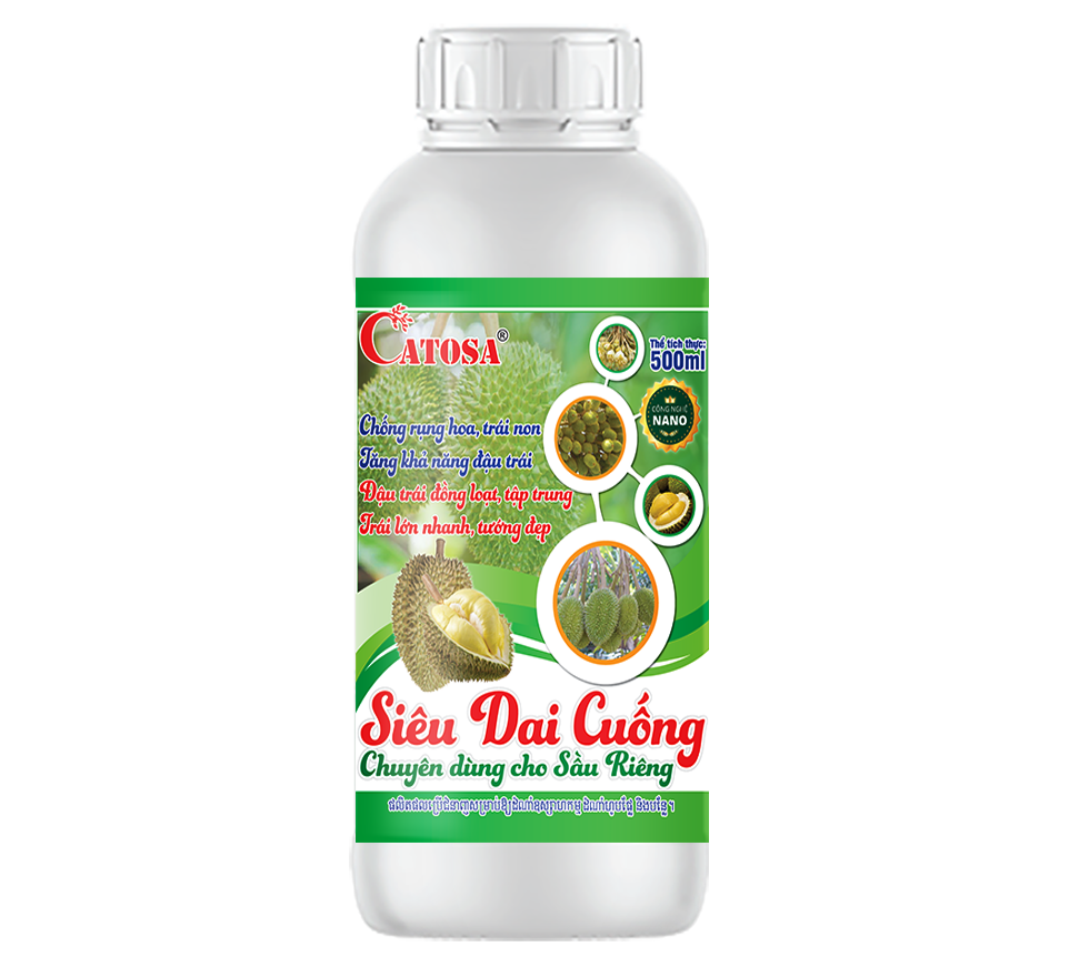 SIÊU DAI CUỐNG SẦU RIÊNG